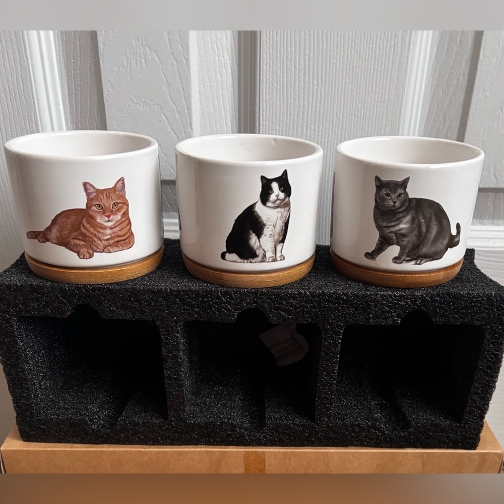 Mini Cat Planters | Set of 3 | NEW - Picture 3 of 7